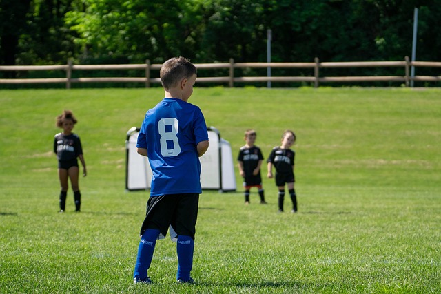 但西班牙队 但西班牙队
