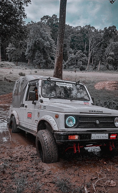 WTA官宣排名：郑钦文跌第8遭澳网冠军反超 萨巴第一中国仅2人前50.