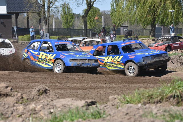 的案例中得 的案例中得