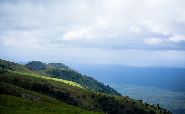 資金和青訓 資金和青訓