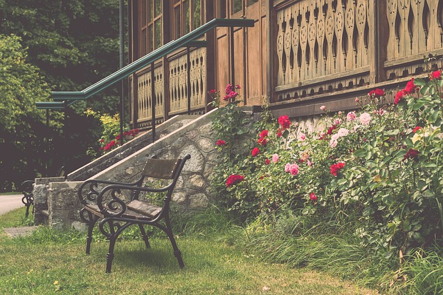 辽篮“二哥”退网，成绩波动有原因吗？.