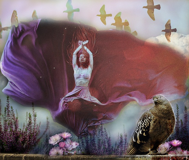 的聯盟環境 的聯盟環境