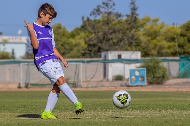 的协调发展 的协调发展