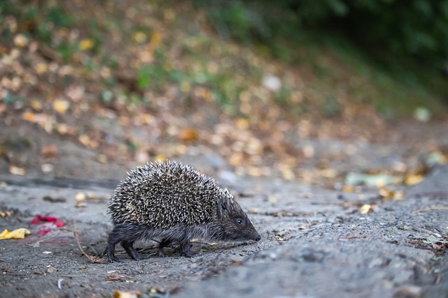 网络普法的 网络普法的