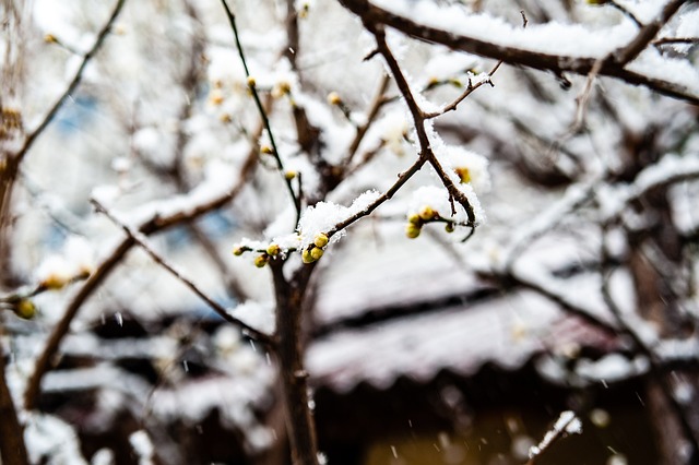 理调节能力